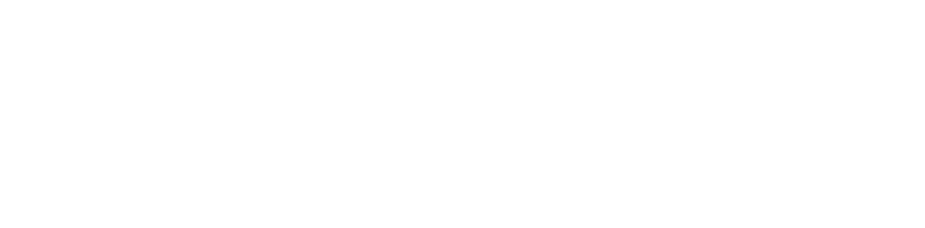 DHOLRHYTHMS TEXT LOGO